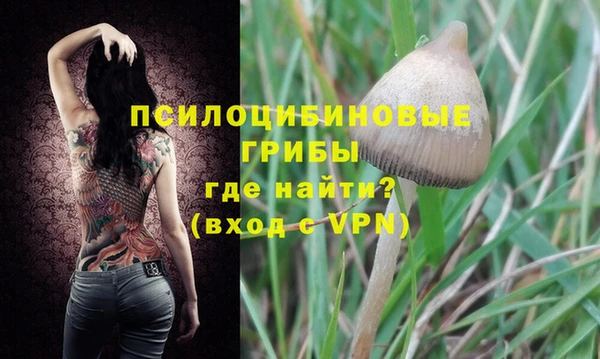 PSILOCYBIN Богородицк